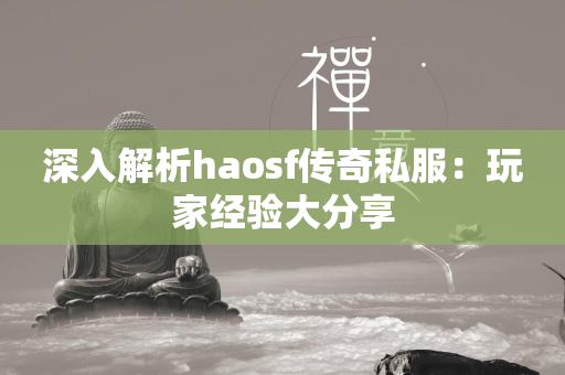 深入解析haosf传奇私服：玩家经验大分享  第1张