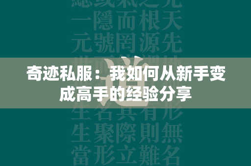 传奇私服：我如何从新手变成高手的经验分享  第3张