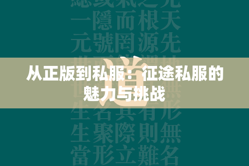 从正版到私服：传奇私服的魅力与挑战  第2张