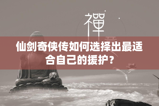 仙剑奇侠传如何选择出最适合自己的援护？