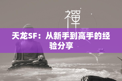 传奇SF：从新手到高手的经验分享  第4张