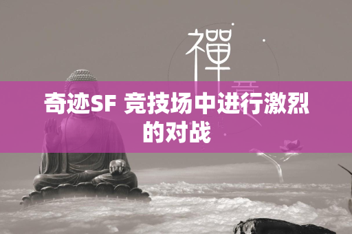 传奇SF 竞技场中进行激烈的对战