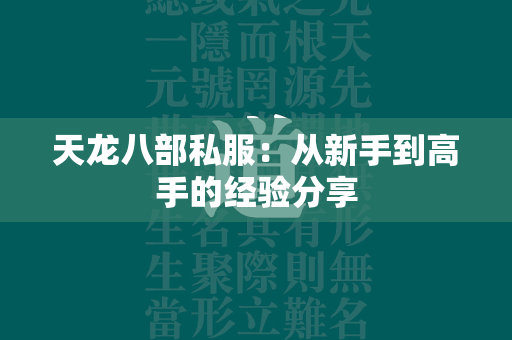 传奇私服：从新手到高手的经验分享  第3张