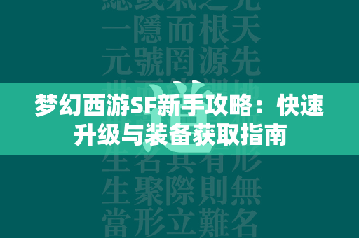 传奇SF新手攻略：快速升级与装备获取指南  第3张