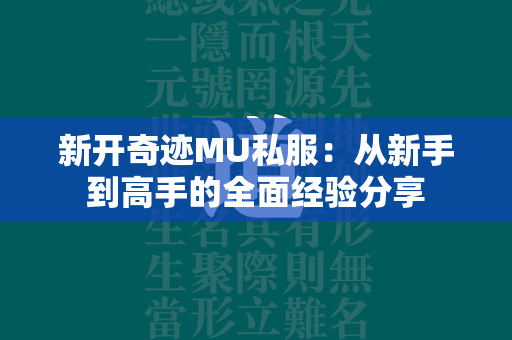 新开传奇MU私服：从新手到高手的全面经验分享  第2张