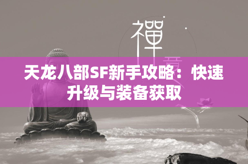 传奇SF新手攻略：快速升级与装备获取