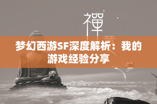 传奇SF深度解析：我的游戏经验分享  第3张