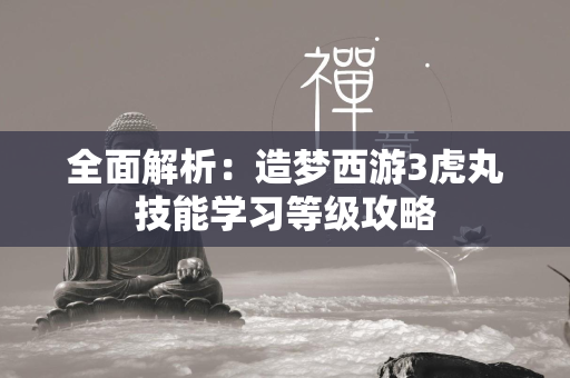 全面解析：造梦西游3虎丸技能学习等级攻略  第4张