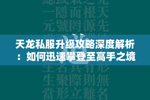 传奇私服升级攻略深度解析：如何迅速攀登至高手之境  第2张