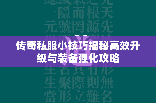 传奇私服小技巧揭秘高效升级与装备强化攻略