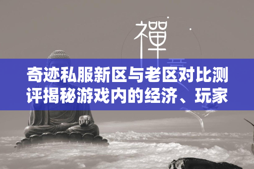 传奇私服新区与老区对比测评揭秘游戏内的经济、玩家体验和更新差异  第4张