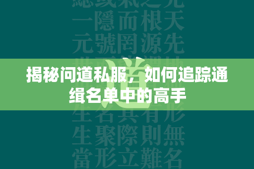 揭秘传奇私服，如何追踪通缉名单中的高手  第4张