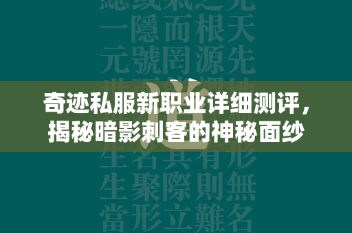 传奇私服新职业详细测评，揭秘暗影刺客的神秘面纱  第2张