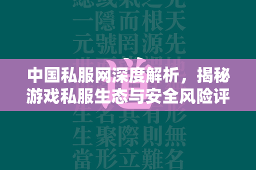 中国私服网深度解析，揭秘游戏私服生态与安全风险评估