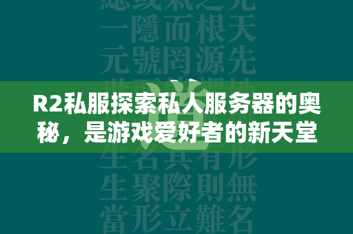 R2私服探索私人服务器的奥秘，是游戏爱好者的新天堂还是潜在的风险所在？  第2张