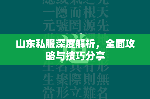 山东私服深度解析，全面攻略与技巧分享  第4张