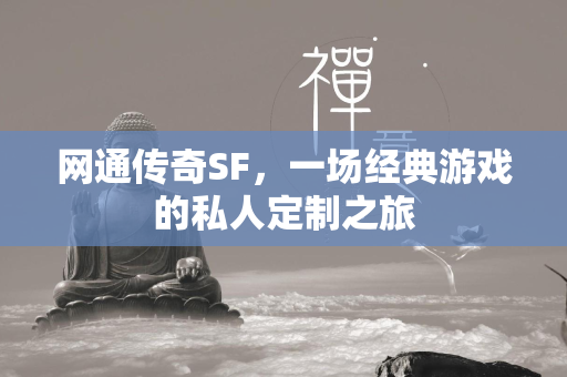 网通传奇SF，一场经典游戏的私人定制之旅  第2张