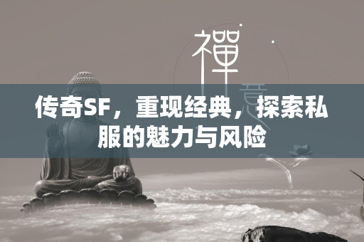 传奇SF，重现经典，探索私服的魅力与风险  第2张