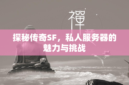 探秘传奇SF，私人服务器的魅力与挑战  第2张