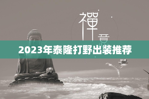 2023年泰隆打野出装推荐  第4张