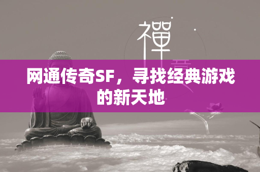 网通传奇SF，寻找经典游戏的新天地  第2张