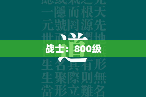 战士：800级  第1张