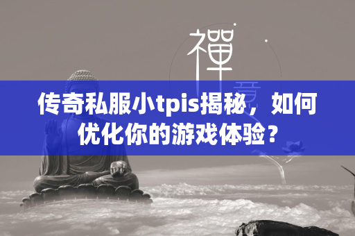 传奇私服小tpis揭秘，如何优化你的游戏体验？  第2张