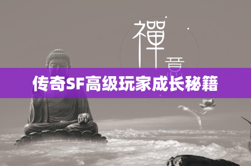 传奇SF高级玩家成长秘籍  第2张