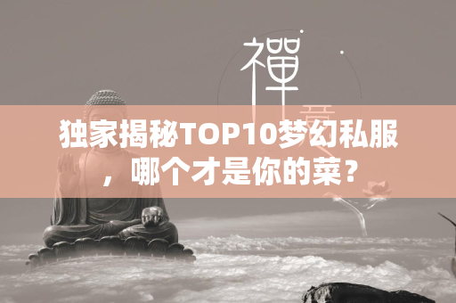 独家揭秘TOP10梦幻私服，哪个才是你的菜？  第4张