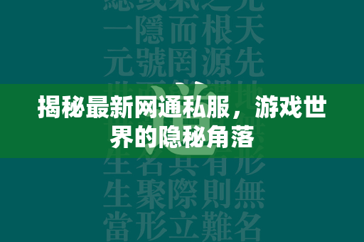 揭秘最新网通私服，游戏世界的隐秘角落  第1张