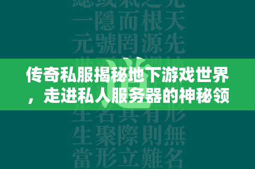 传奇私服揭秘地下游戏世界，走进私人服务器的神秘领域  第2张