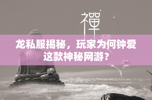 龙私服揭秘，玩家为何钟爱这款神秘网游？  第1张