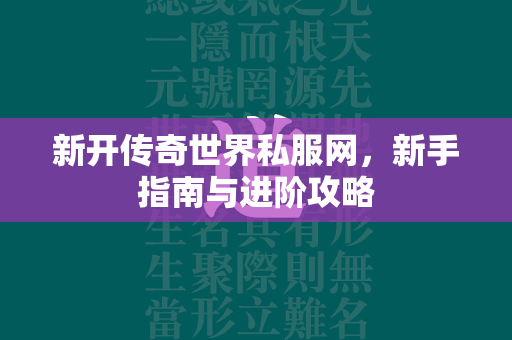 新开传奇世界私服网，新手指南与进阶攻略  第2张