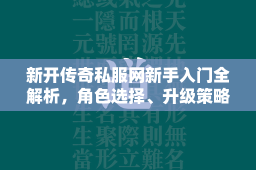 新开传奇私服网新手入门全解析，角色选择、升级策略与装备获取指南