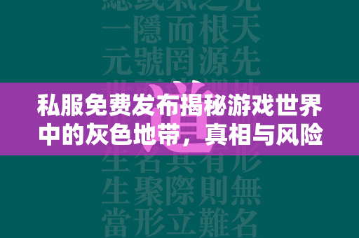 私服免费发布揭秘游戏世界中的灰色地带，真相与风险并存  第1张