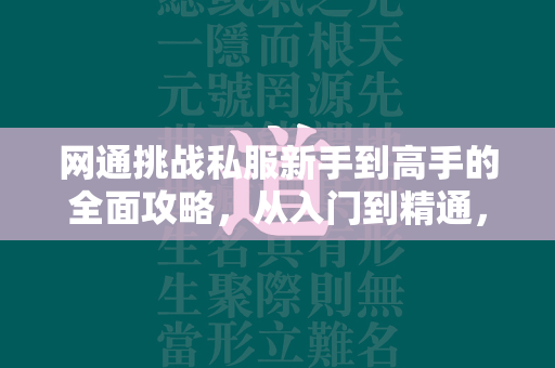 网通挑战私服新手到高手的全面攻略，从入门到精通，助你快速提升战斗力！  第2张