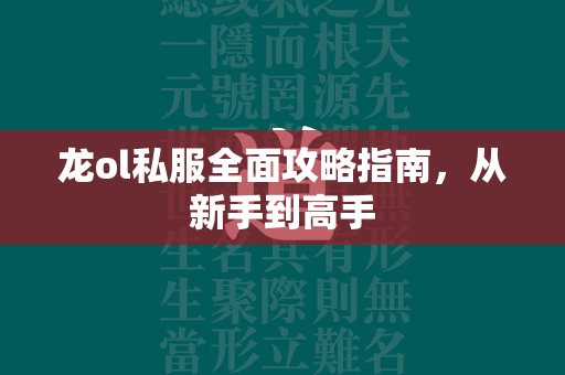 龙ol私服全面攻略指南，从新手到高手