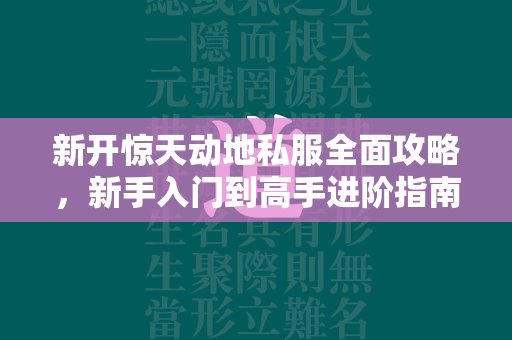 新开惊天动地私服全面攻略，新手入门到高手进阶指南