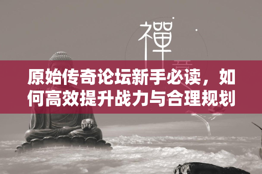 原始传奇论坛新手必读，如何高效提升战力与合理规划氪金  第2张