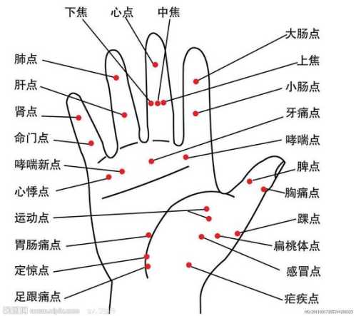 霍大强的打法区分  第2张