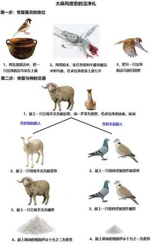 答疑胜利法典：天冥的可收获奖励  第1张