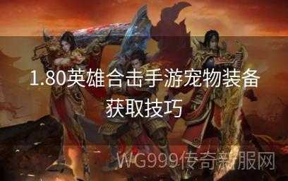 2023年热门传奇私服新服发布网：今日新开传奇私服新服一览  第2张